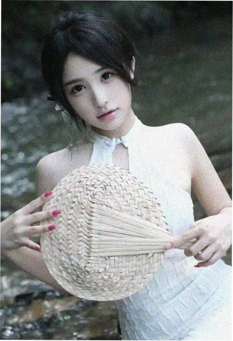 美景之屋导演访谈节目画面